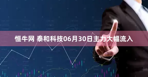 恒牛网 泰和科技06月30日主力大幅流入